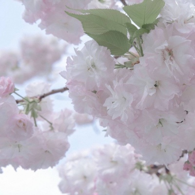 Furry创作思路分享福瑞交流群